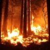 Protecting Homes from Wildfires