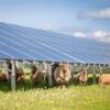 Balancing Agriculture with Ground-Based Solar Photovoltaics Course